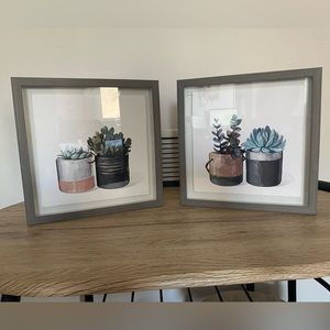 Succulent Wall Art - 2 Piece Set